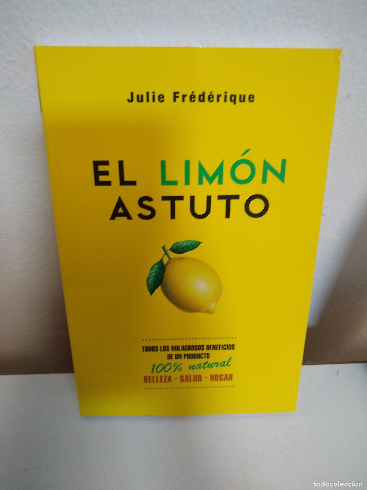 Libros: El lim&oacute;n astuto - Julie Fr&eacute;d&eacute;rique