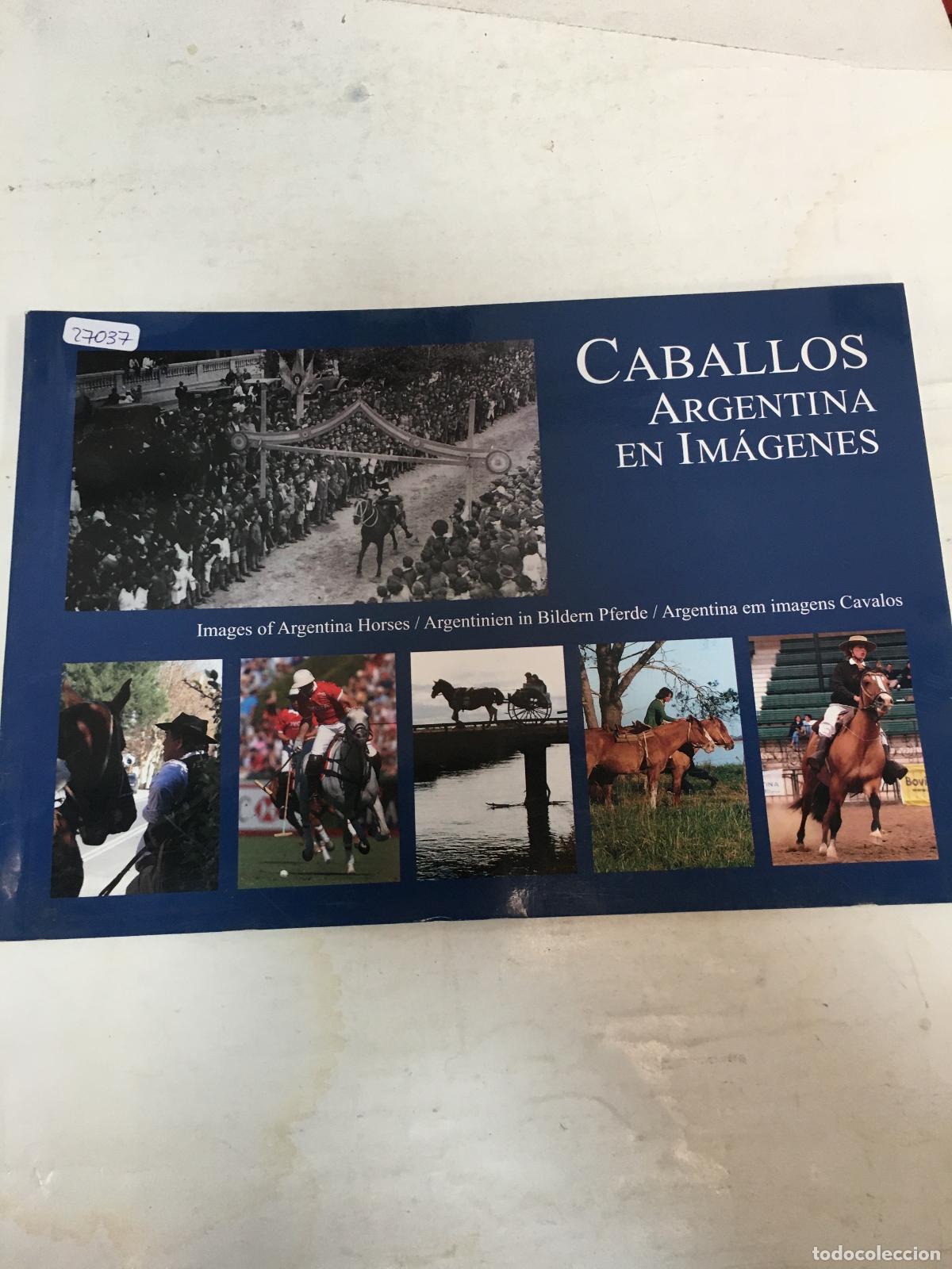 books: Caballos. Argentina En Imagenes - Autores Varios