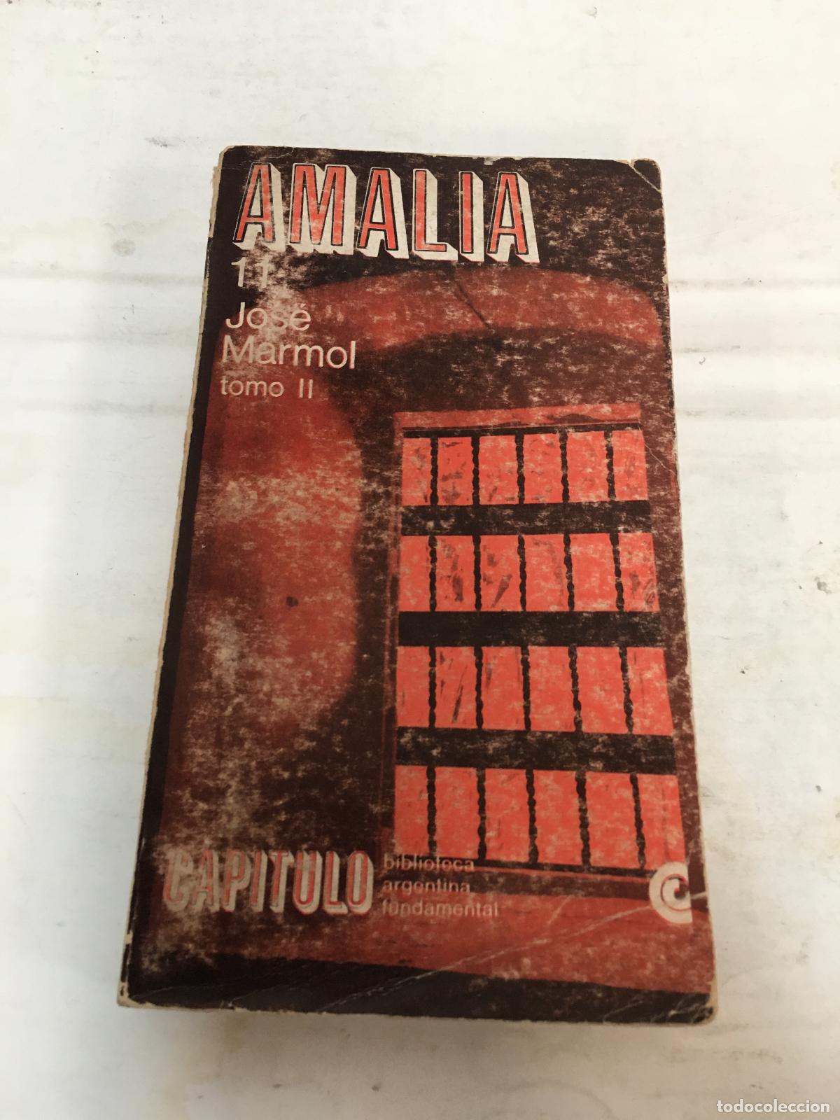 Libros: Amalia tomo II - jose marmol - Foto 1
