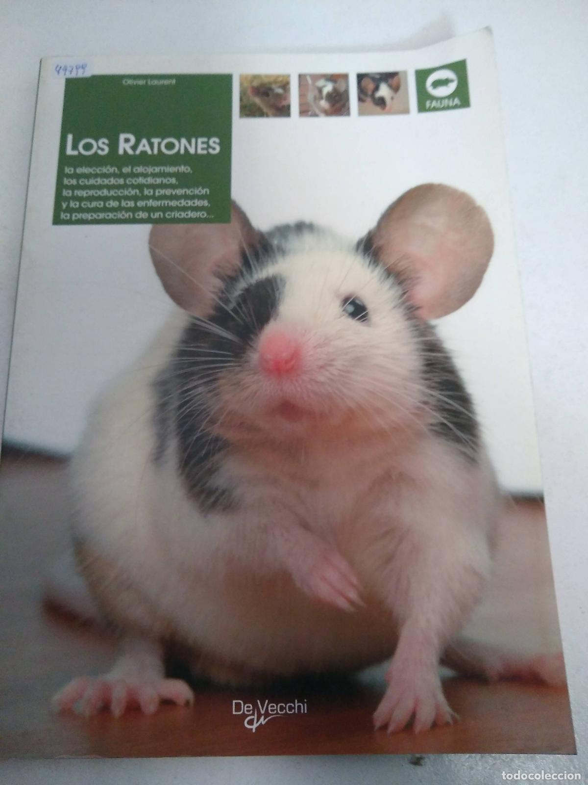 Libros: Los ratones - Olivier Laurent - Foto 1