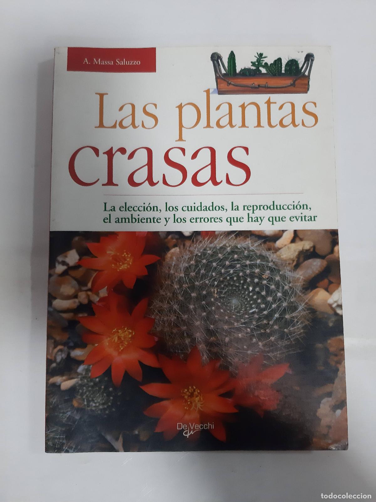 Libros: Las plantas crasas - A Massa Saluzzo - Foto 1