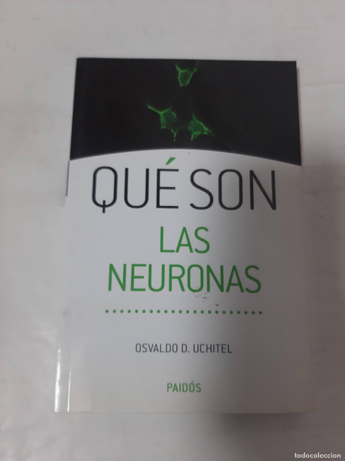 Libros: Qu&eacute; Son Las Neuronas - Osvaldo D. Uchitel - Foto 1