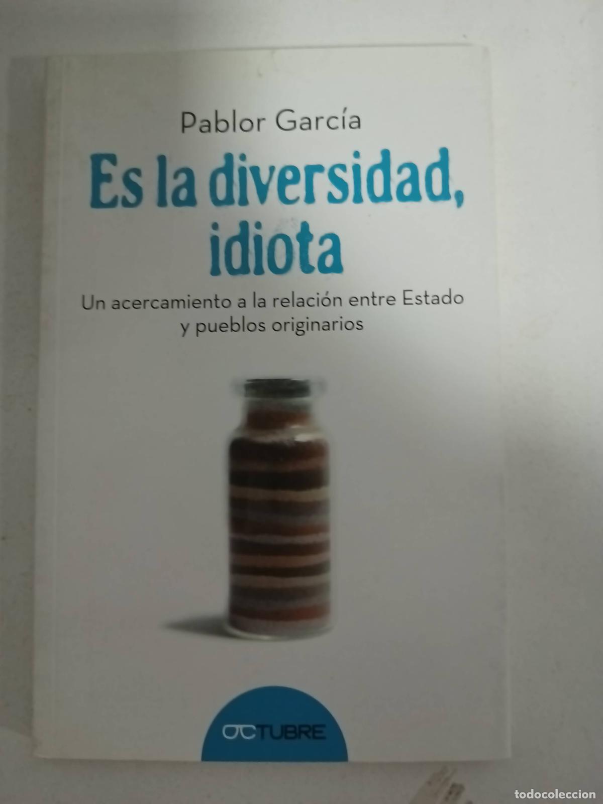 Libros: Es la diversidad, idiota - Pablo Garcia - Foto 1