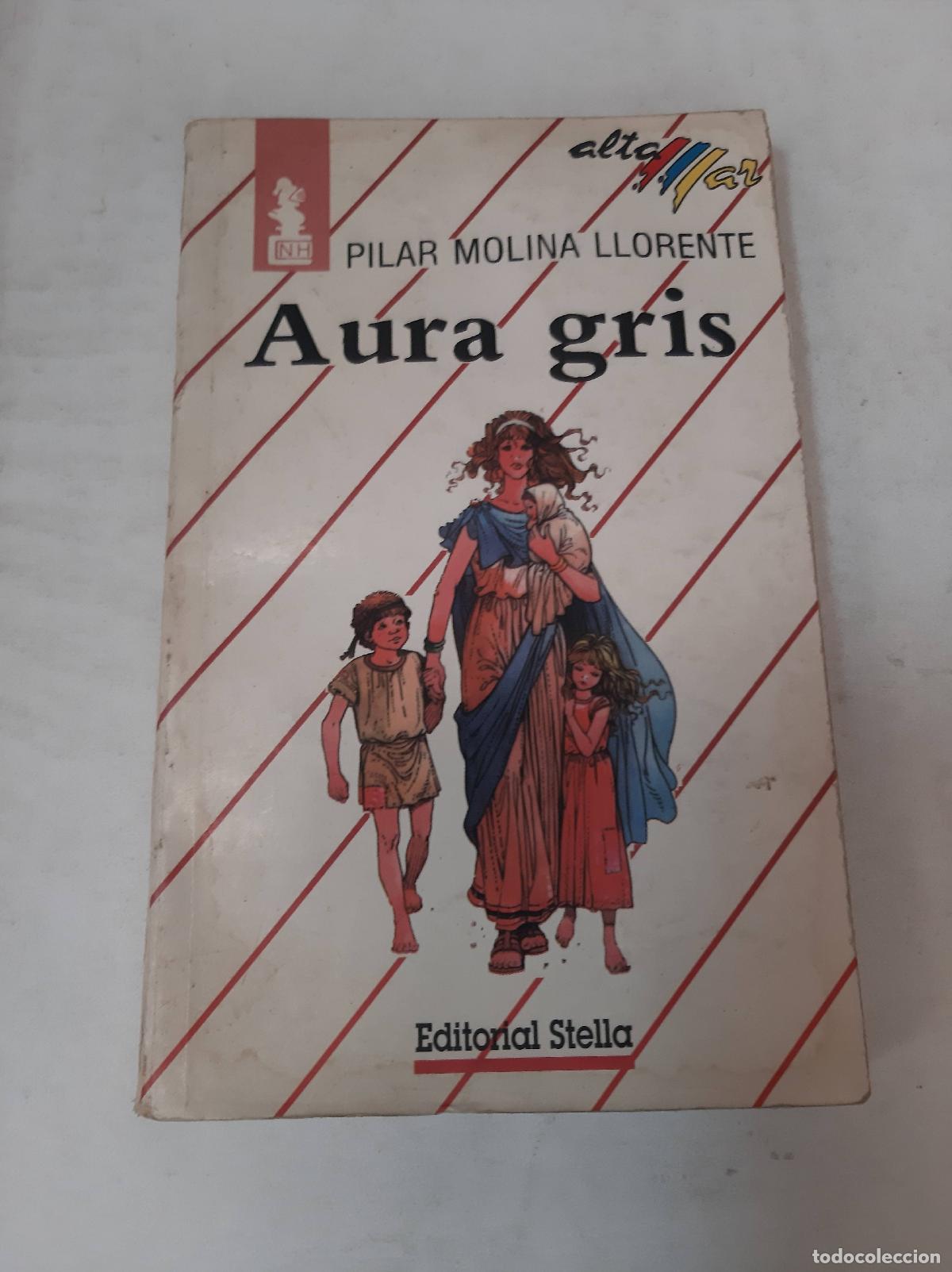 Libros: Aura Gris - Pilar Molina Llorente - Foto 1