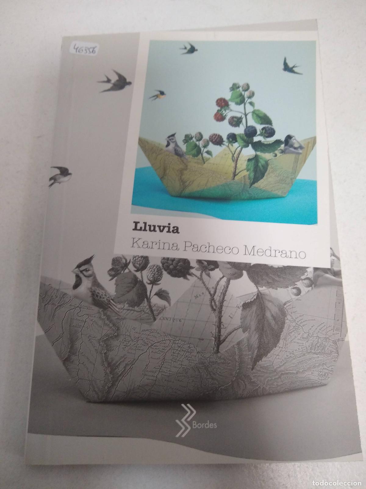 Libros: Lluvia - Karina Pacheco Medrano - Foto 1