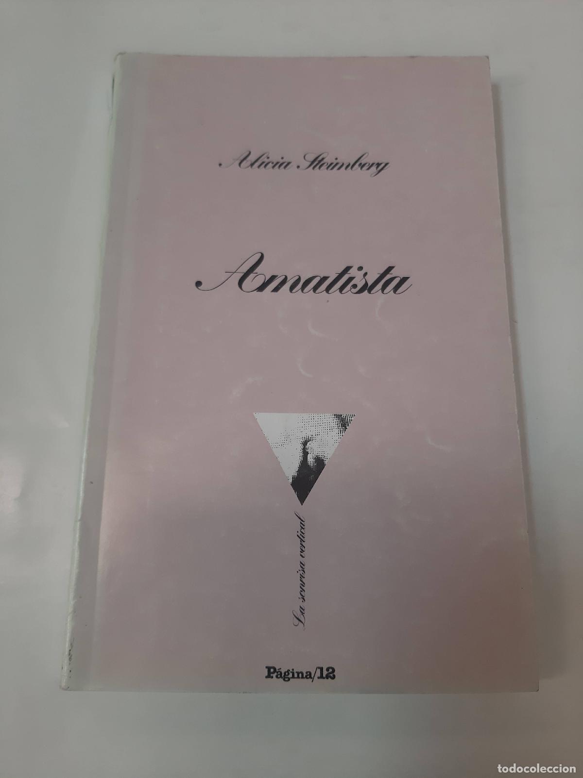 Libros: Amatista - Alicia Steimberg - Foto 1