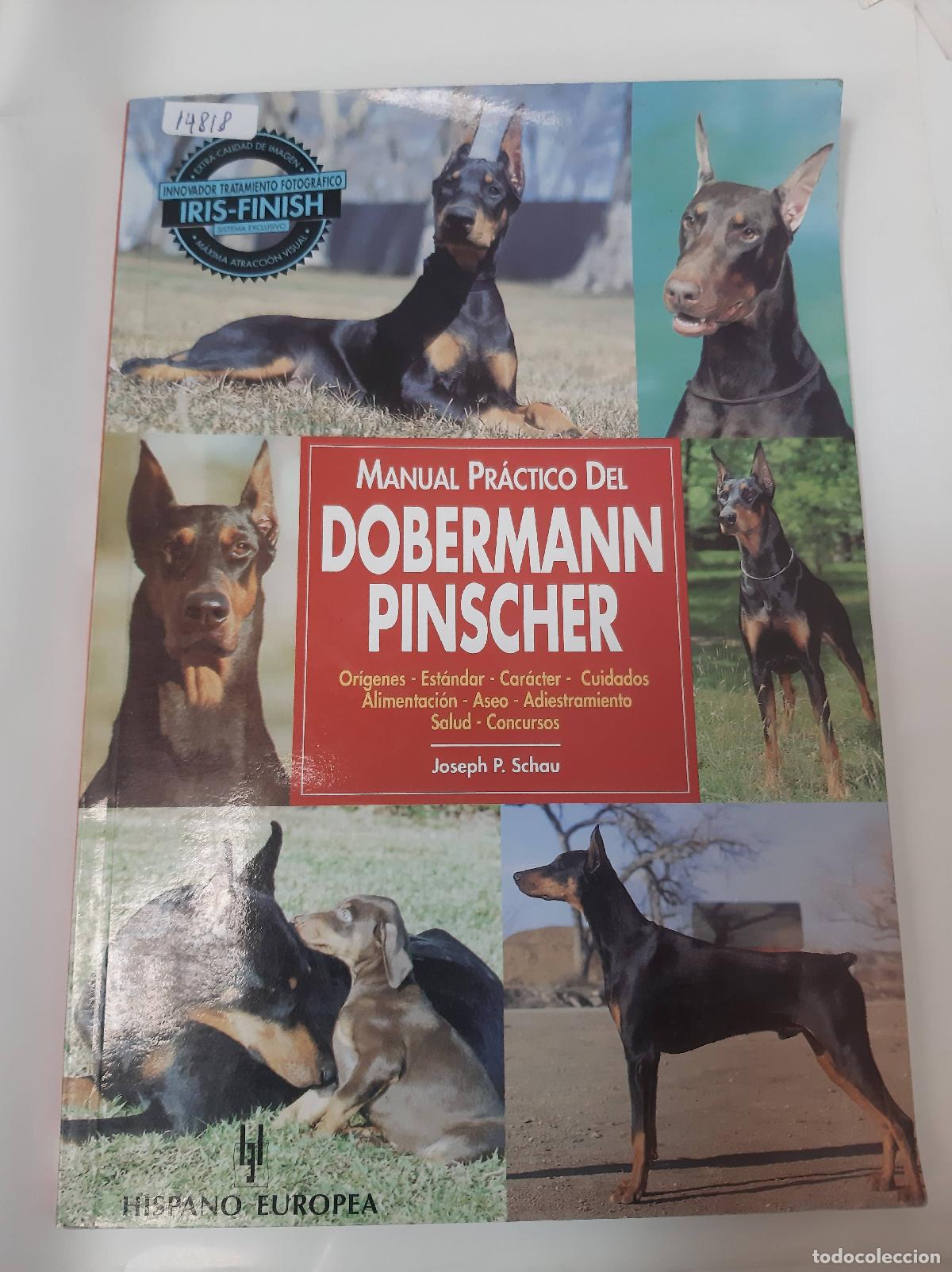Libros: Manual Practico Del Dobermann Pinscher - Joseph P Schau - Foto 1