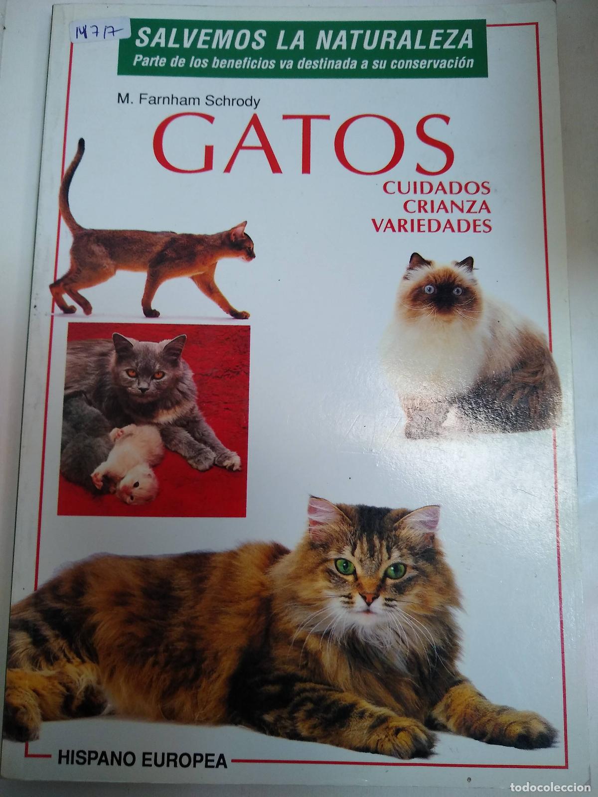 Libros: Gatos, Cuidados Crianza Variedades - Schrody - Foto 1