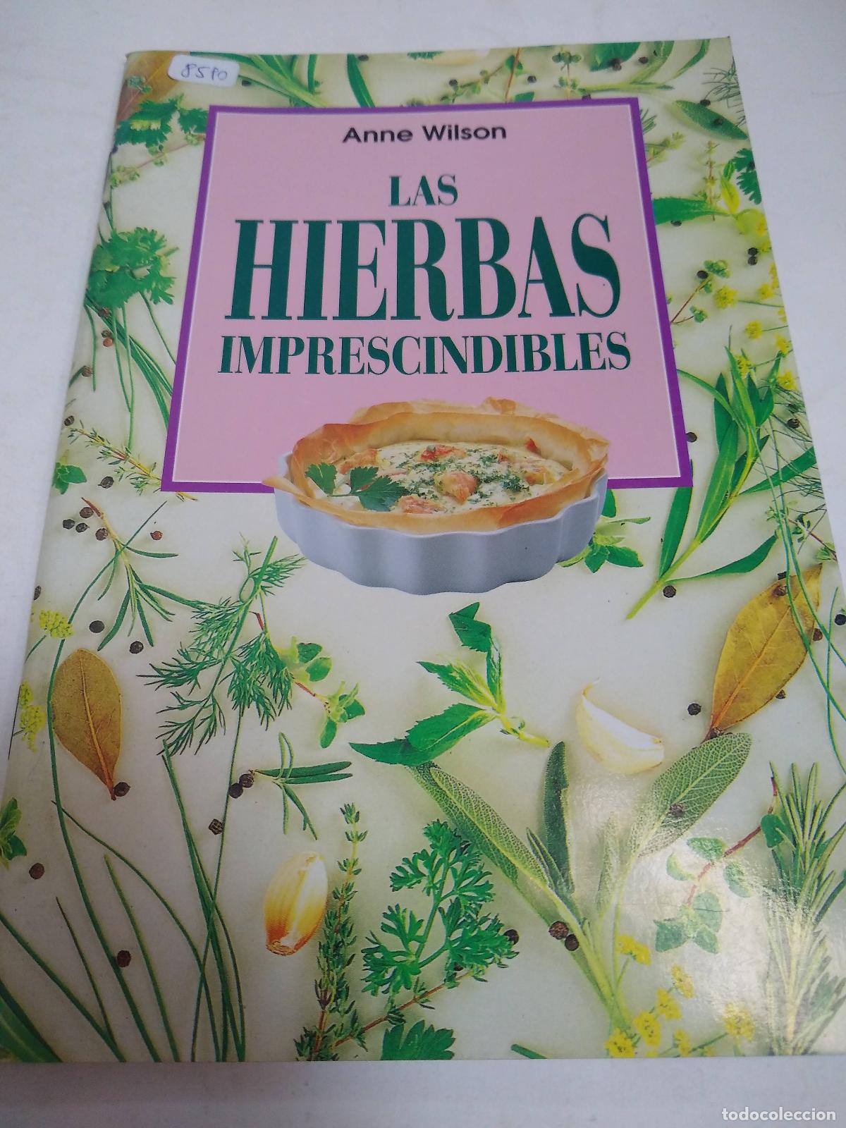 Libros: Las Hierbas Imprescindibles - Anne Wilson - Foto 1