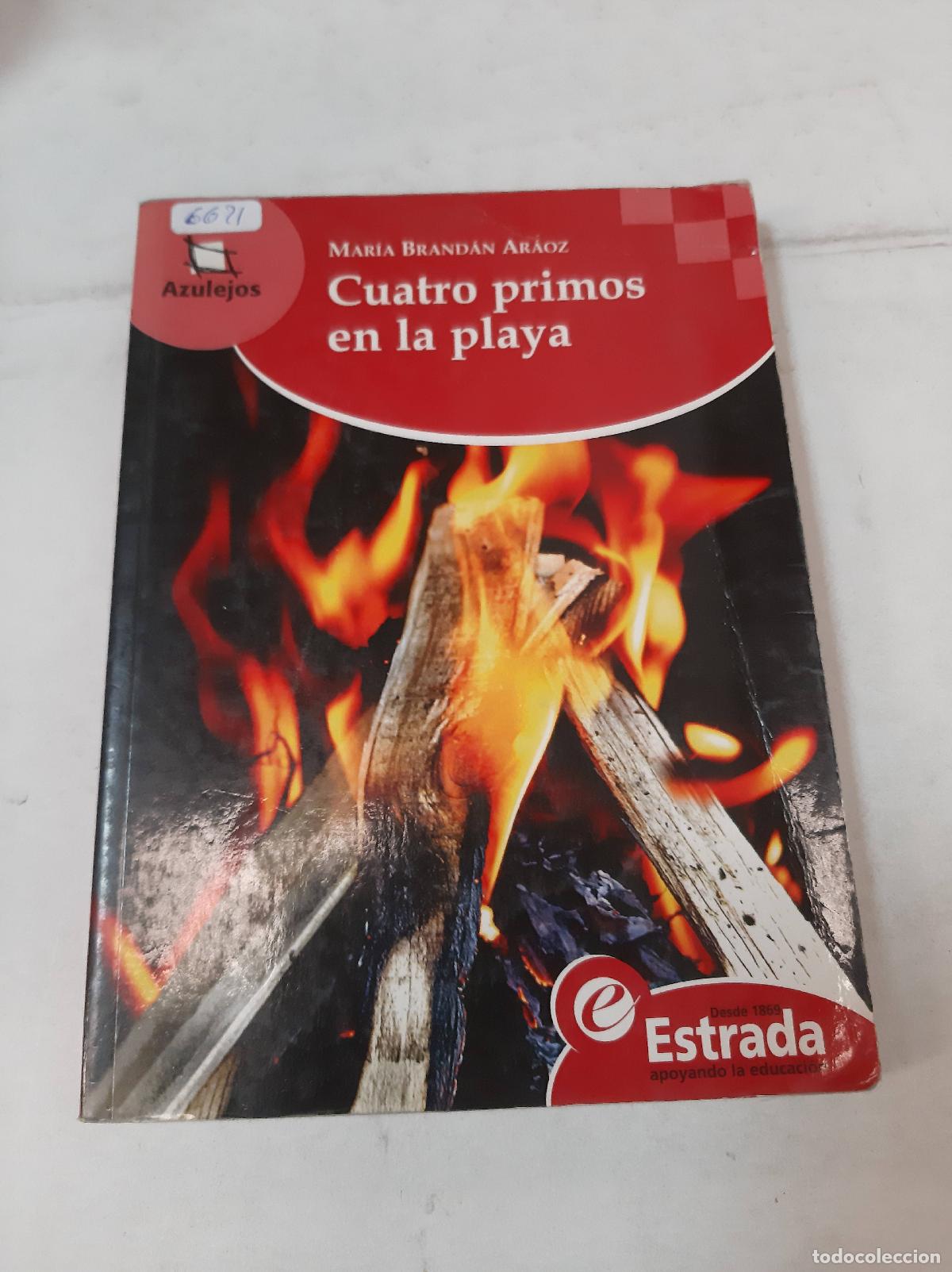 Libros: Cuatro Primos En La Playa - Maria Brandan Araoz - Foto 1