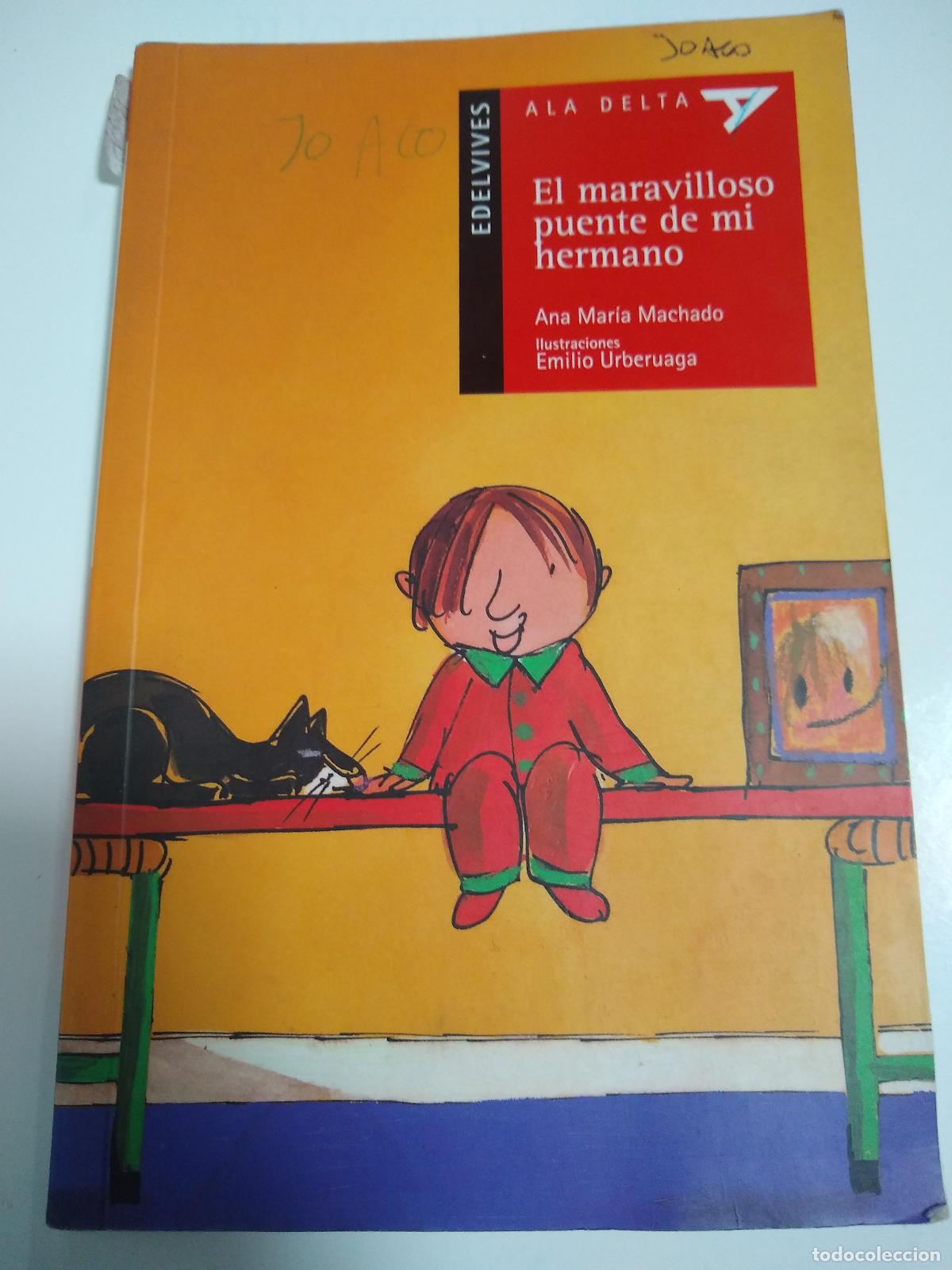 Libros: El Maravilloso Puente De Mi Hermano - Ana Maria Machado