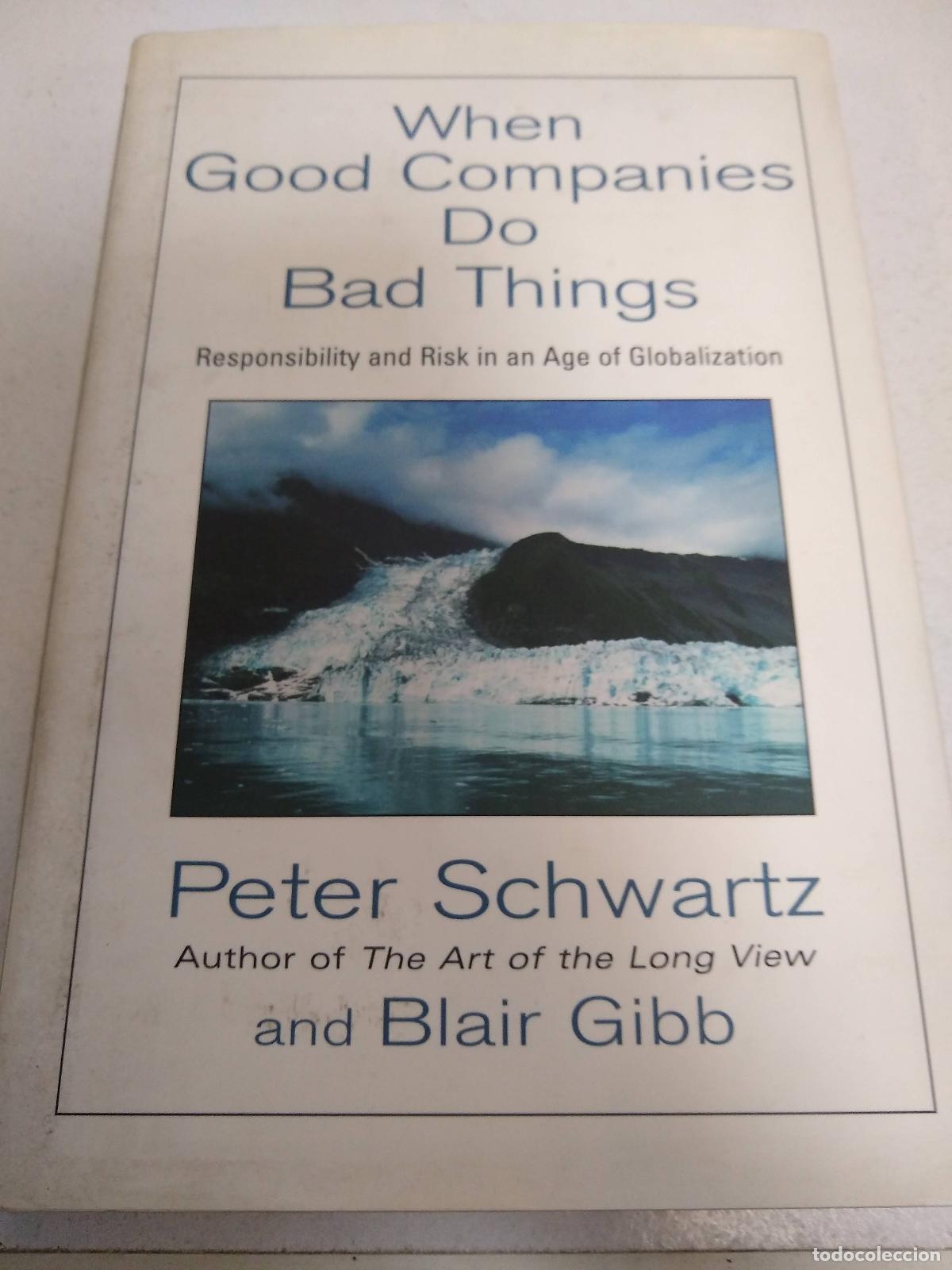 Libros: When Good Companies Do Bad Things : Responsibility and Risk in an Age of Globalization - Schwartz, P