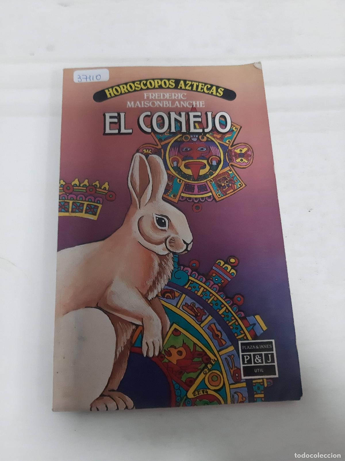 Libros: El Conejo - Fr&eacute;d&eacute;ric Maisonblanche - Foto 1