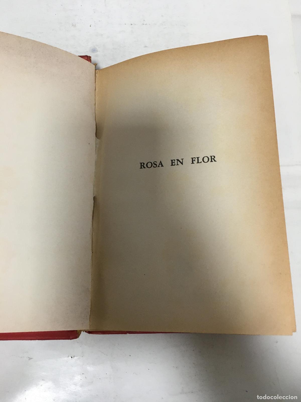 Libros: Rosa en flor. - Alcott, Louisa May. - Foto 1
