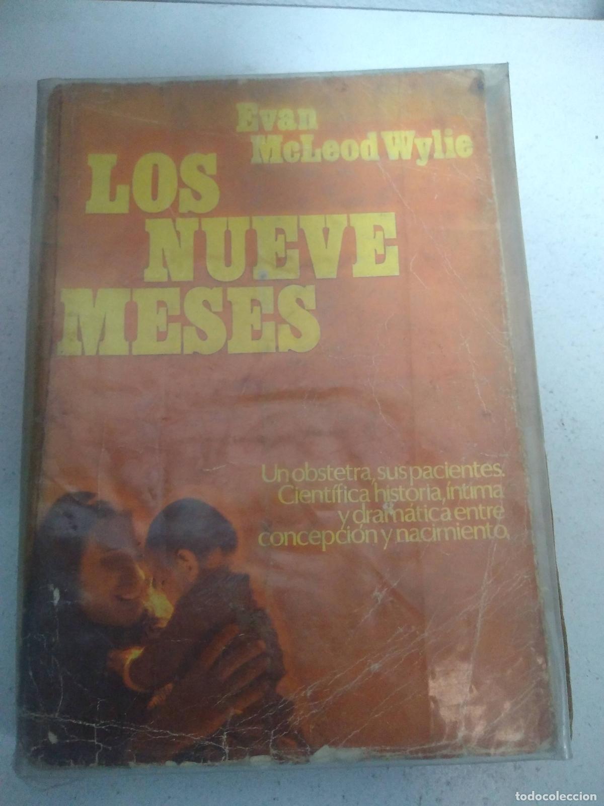 Libros: Los nueve meses - Evan McLeod Wylie - Foto 1