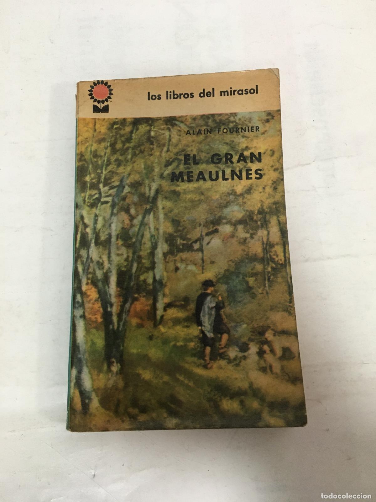 Libros: El gran Meaulnes - Alain Fournier - Foto 1