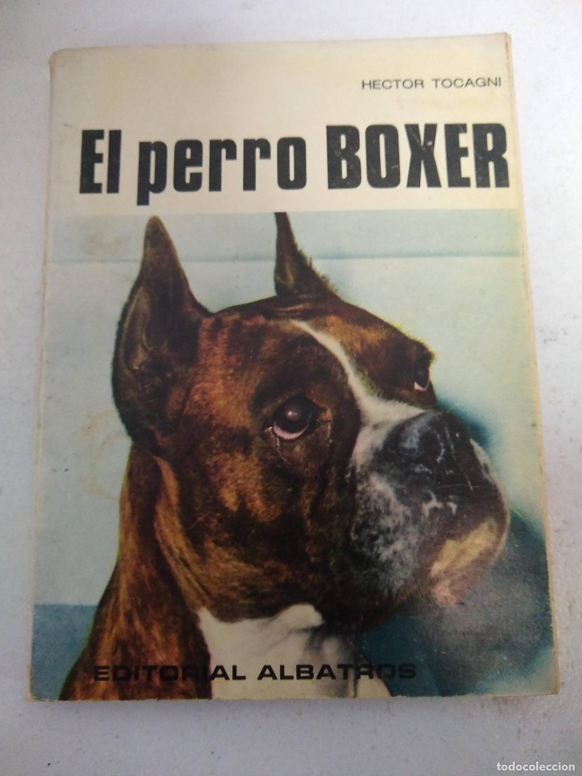 Libros: El perro boxe - H&eacute;ctor Tocagni - Foto 1