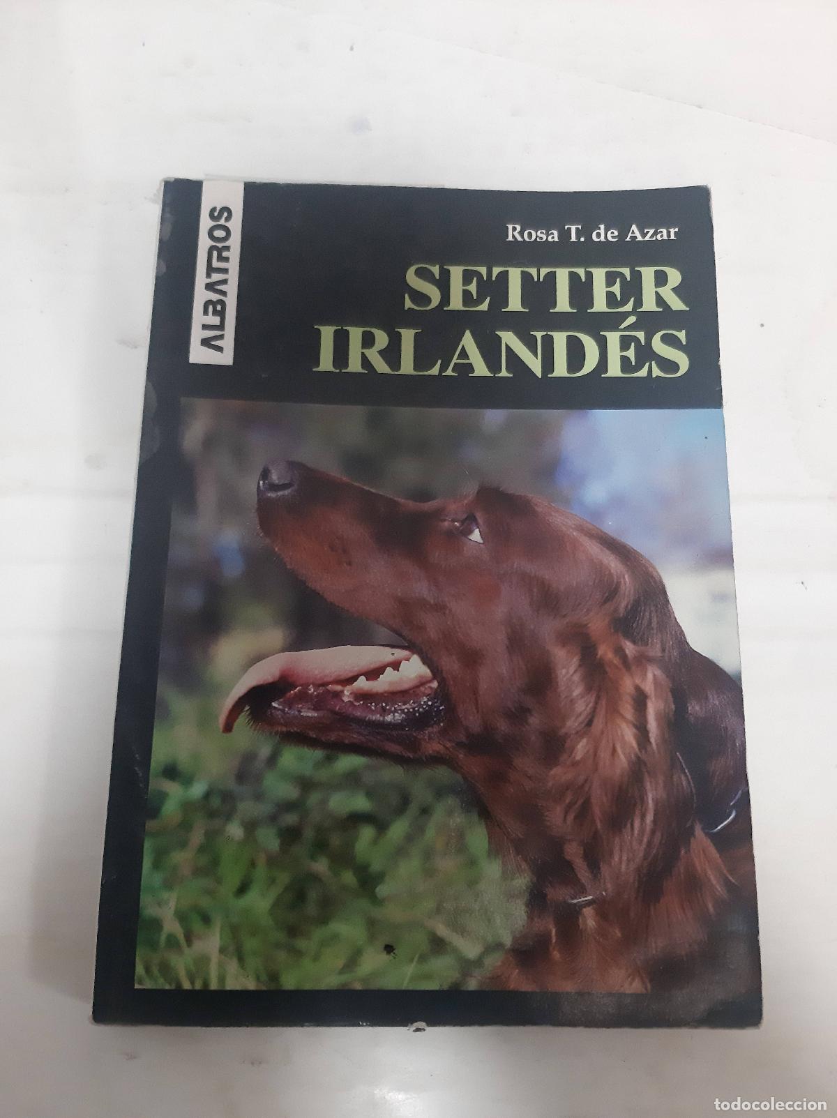 Libros: El Setter Irlandes - de Azar, Rosa T. - Foto 1