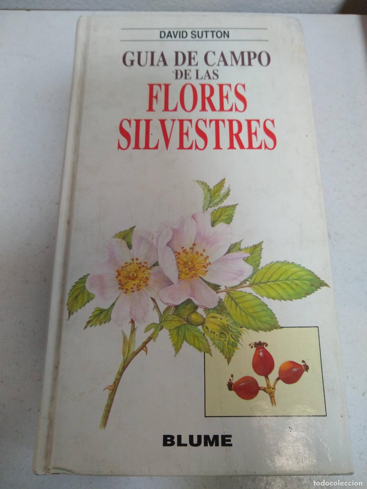 Libros: Gu&iacute;a de campo de las flores silvestres - David Sutton - Foto 1
