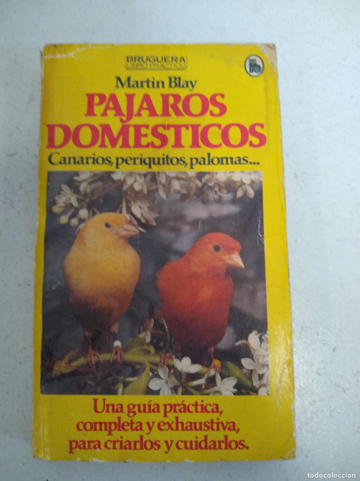Libros: Pajaros domesticos - BLAY, Martin: - Foto 1