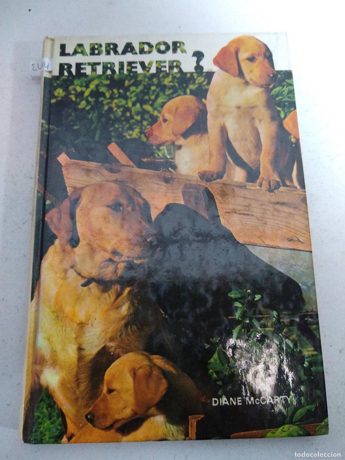 Libros: Labrador retriever - varios autores - Foto 1