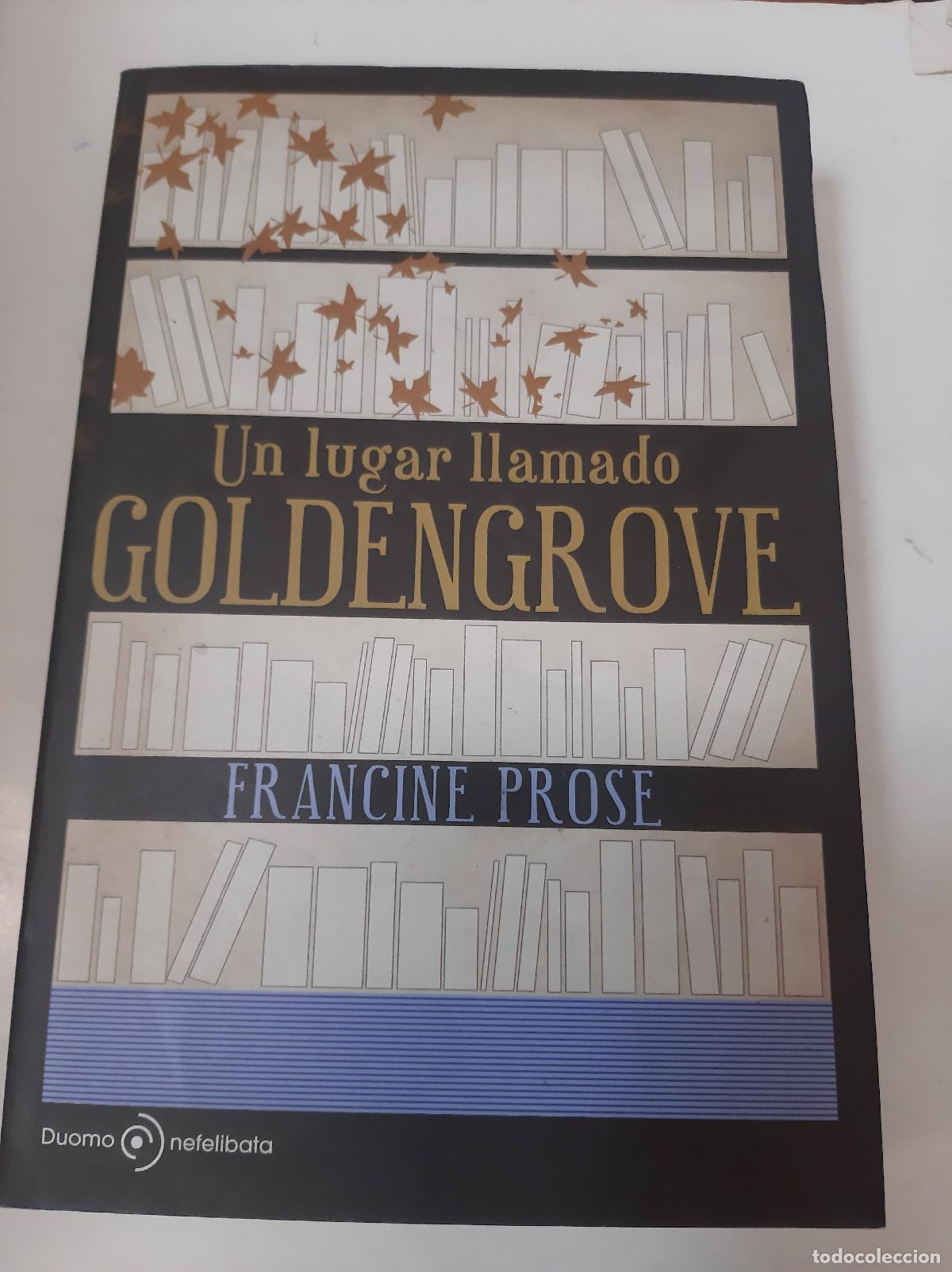 Libros: Un Lugar Llamado Goldengrove - Francine Prose