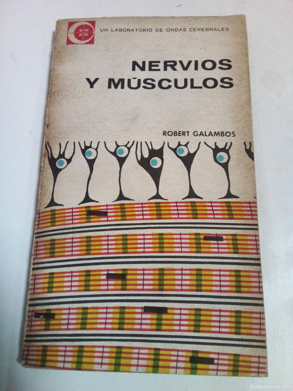 Libros: Nervios Y M&uacute;sculos - Robert Galambos - Foto 1