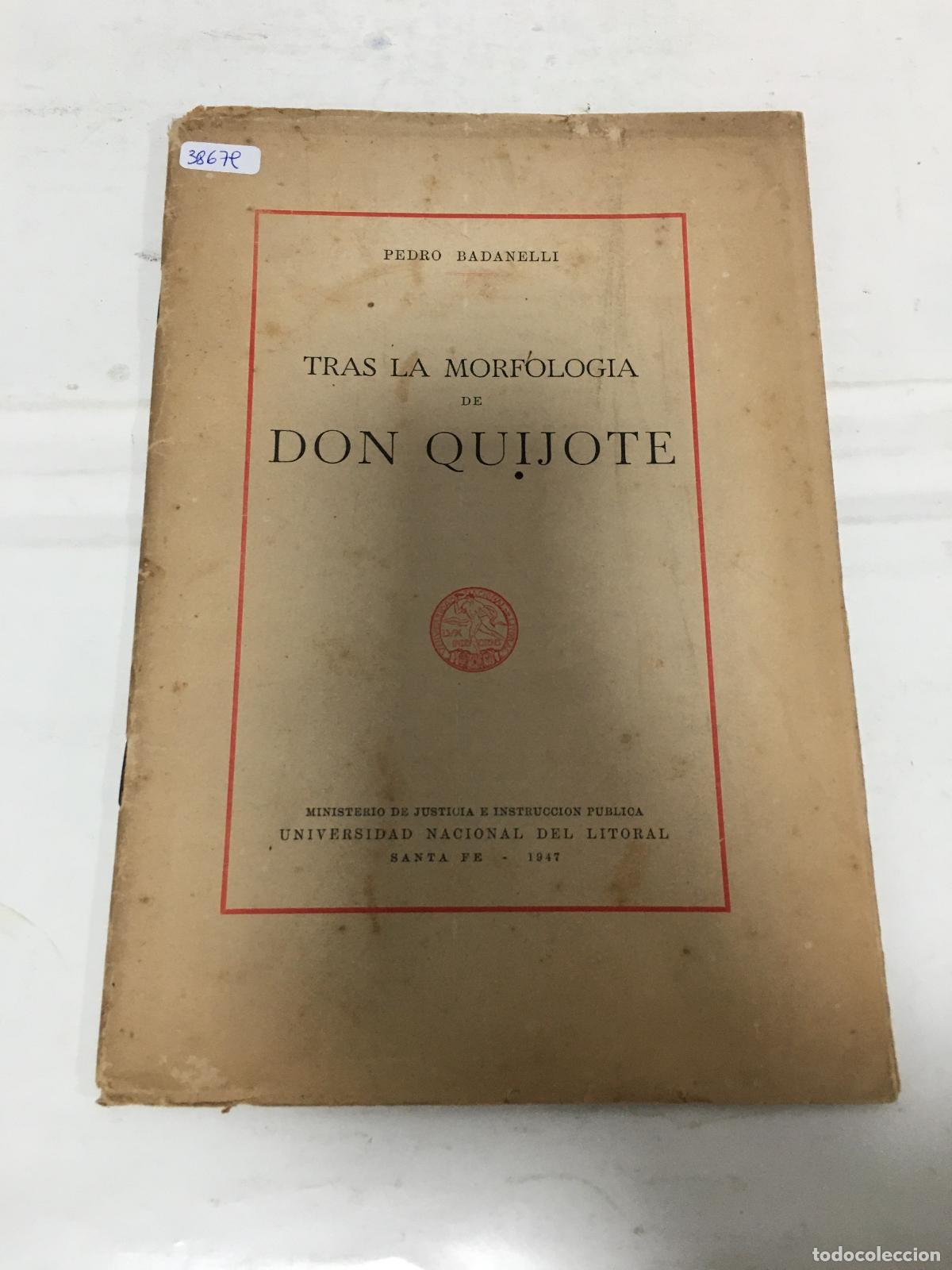 Libros: Tras la morfologia de don quijote - Pedro Badanelli