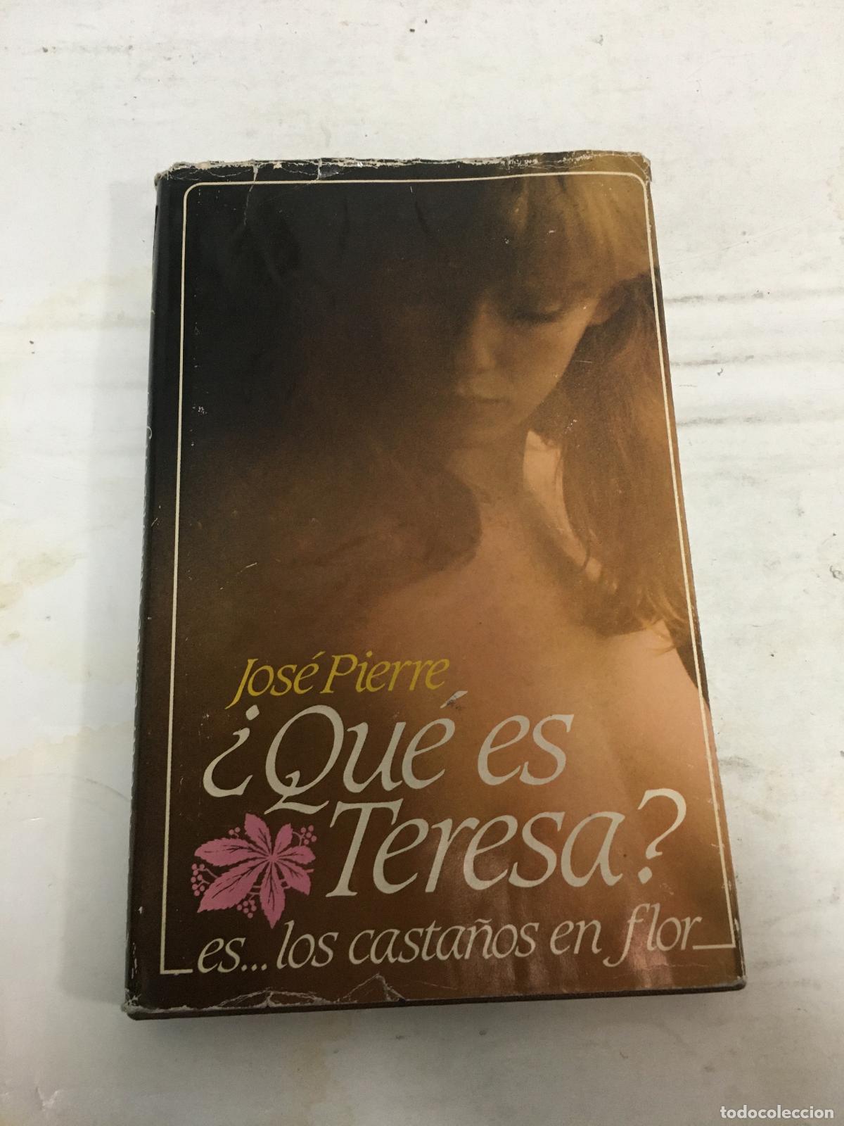 Libros: Qu&eacute; es Teresa - Jos&eacute; Pierre - Foto 1