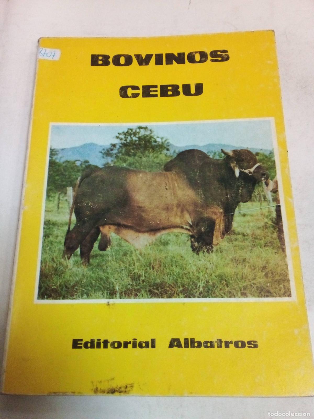 Libros: Bovinos Cebu - Hector Tocagni - Foto 1