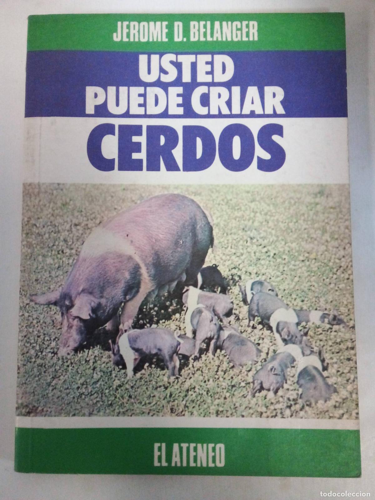Libros: Usted Puede Criar Cerdos - Jerome D. Belanger - Foto 1
