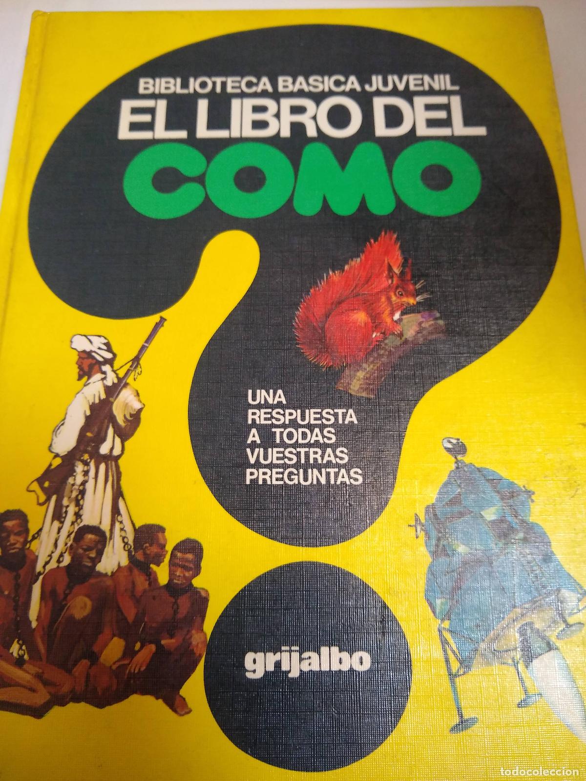 Libros: El Libro Del Como - Giuseppe Zanini - Foto 1