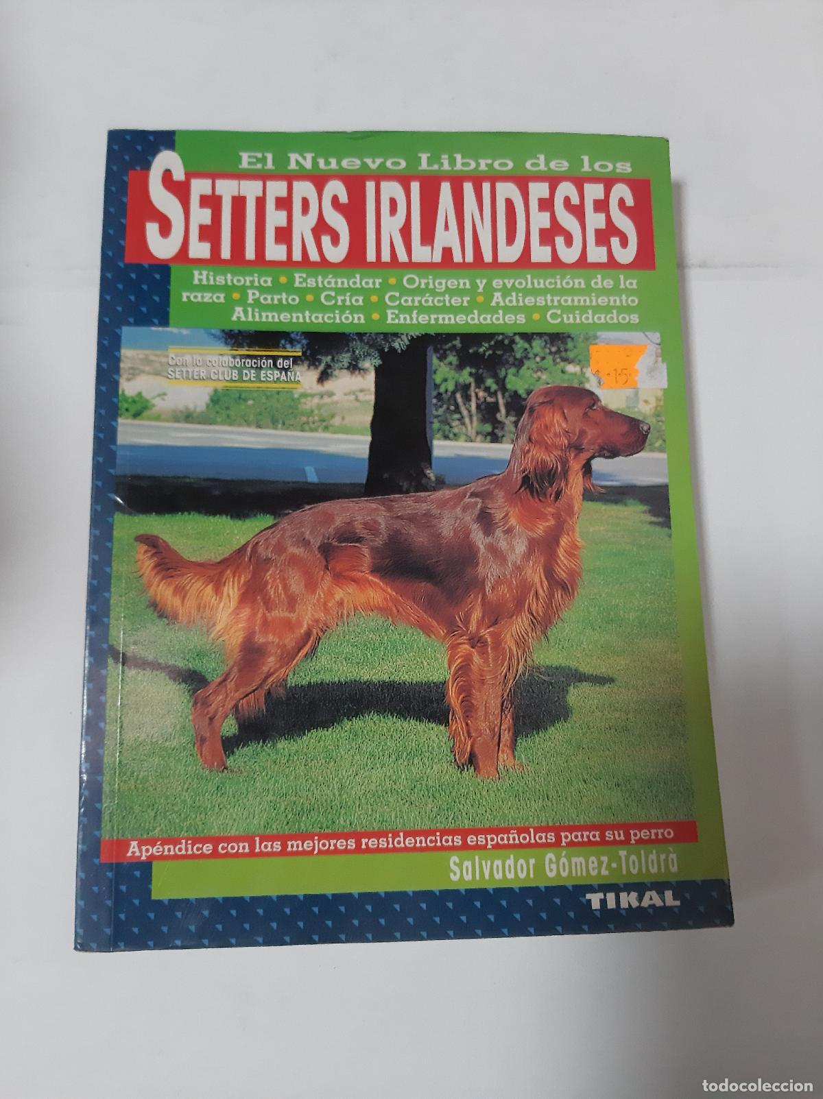Libros: El Nuevo Libro De Los Setters Irlandeses - G&oacute;mez - Foto 1