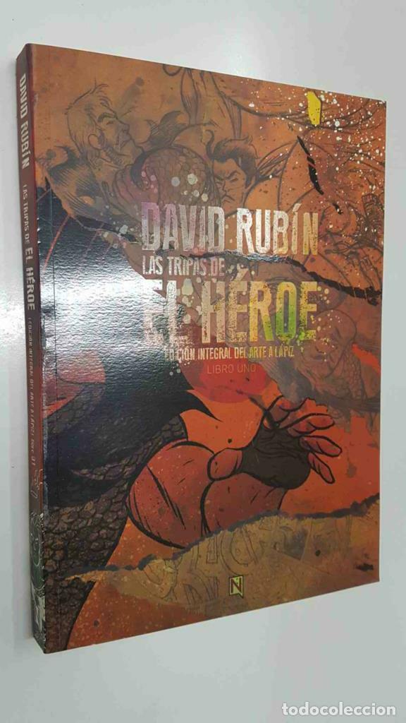 B&uuml;cher: Ninth: Las Tripas del heroe libro 01, David Rubin - Edicion Integral del arte a lapiz