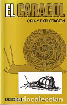 Libros: El caracol. Cr&iacute;a y explotaci&oacute;n - Giuseppe Gallo - Foto 1