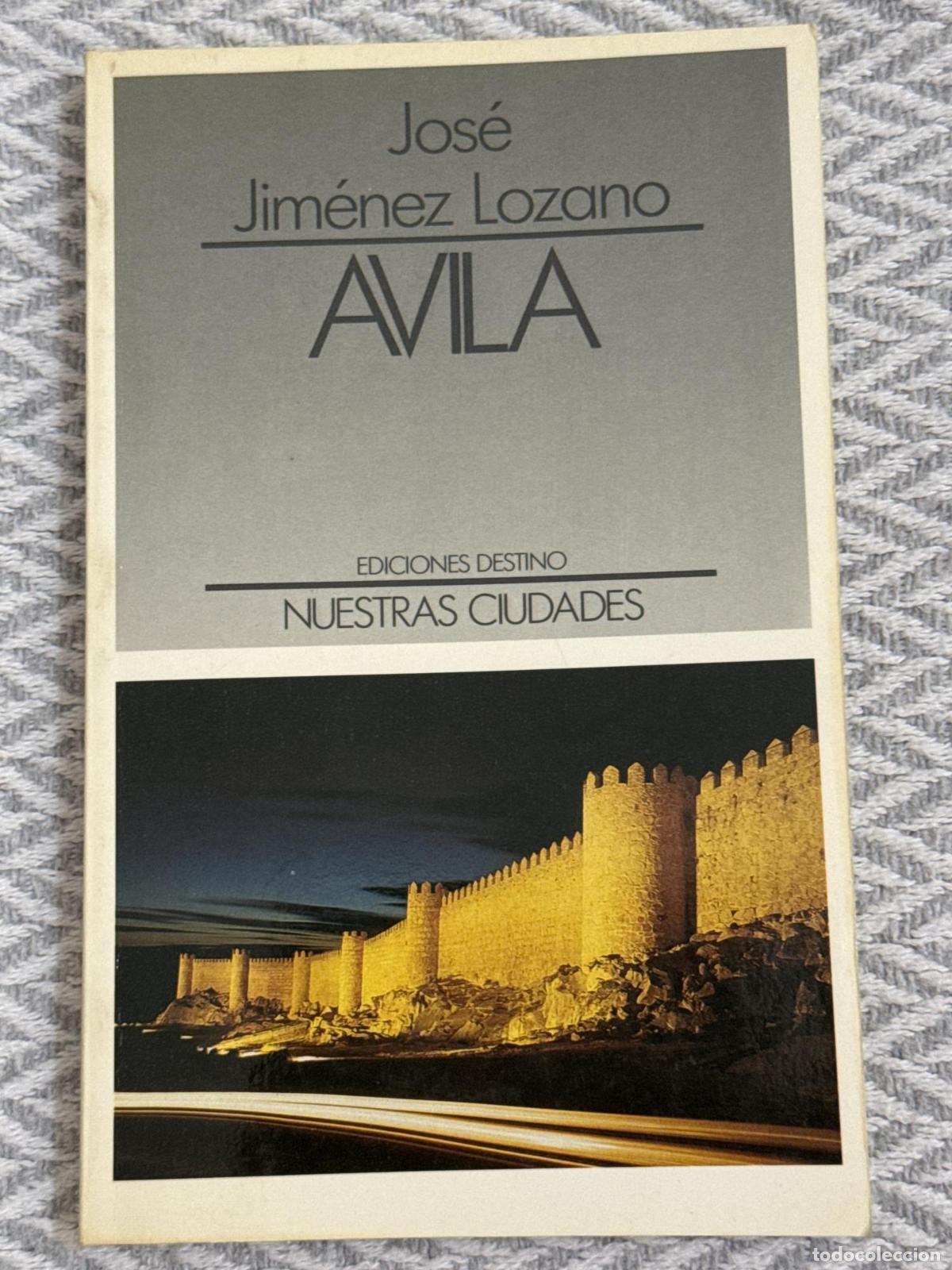 Libros: &Aacute;vila - Jos&eacute; Jimenez Lozano - Foto 1
