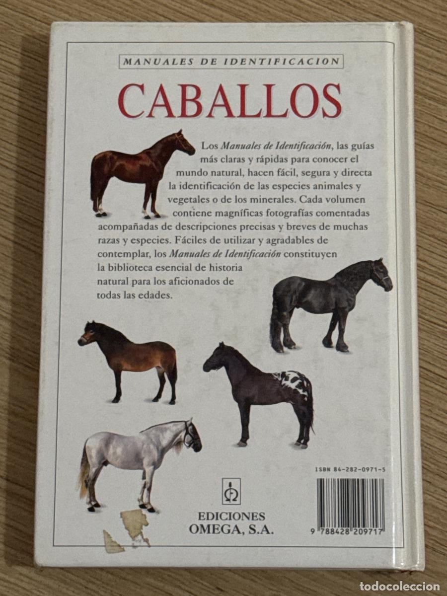 Libros: Caballos. manual de identificaci&oacute;n - Elwyn Hartley Edwards - Foto 2