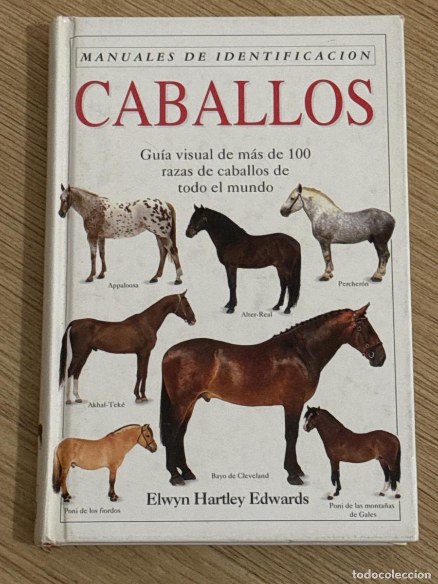 Libros: Caballos. manual de identificaci&oacute;n - Elwyn Hartley Edwards - Foto 1