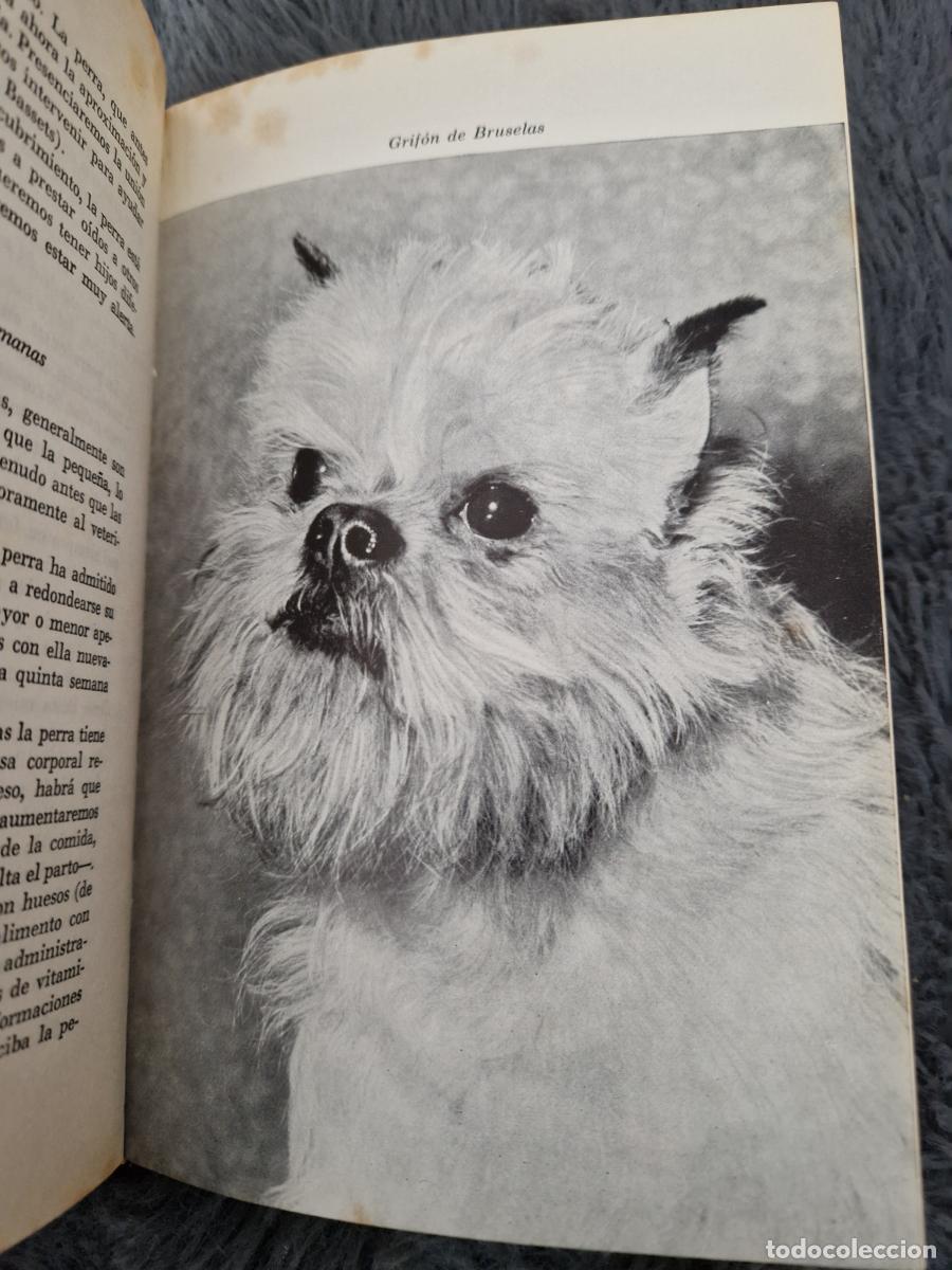 Libros: Enciclopedia canina. Los perros - Ulrich Klever - Foto 2