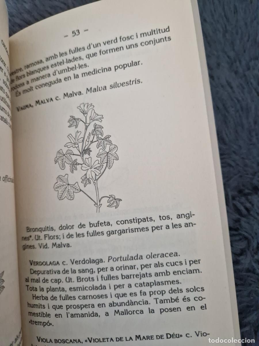 Libros: Herbes i remeis casolans - Llu&iacute;s Ripoll - Foto 2