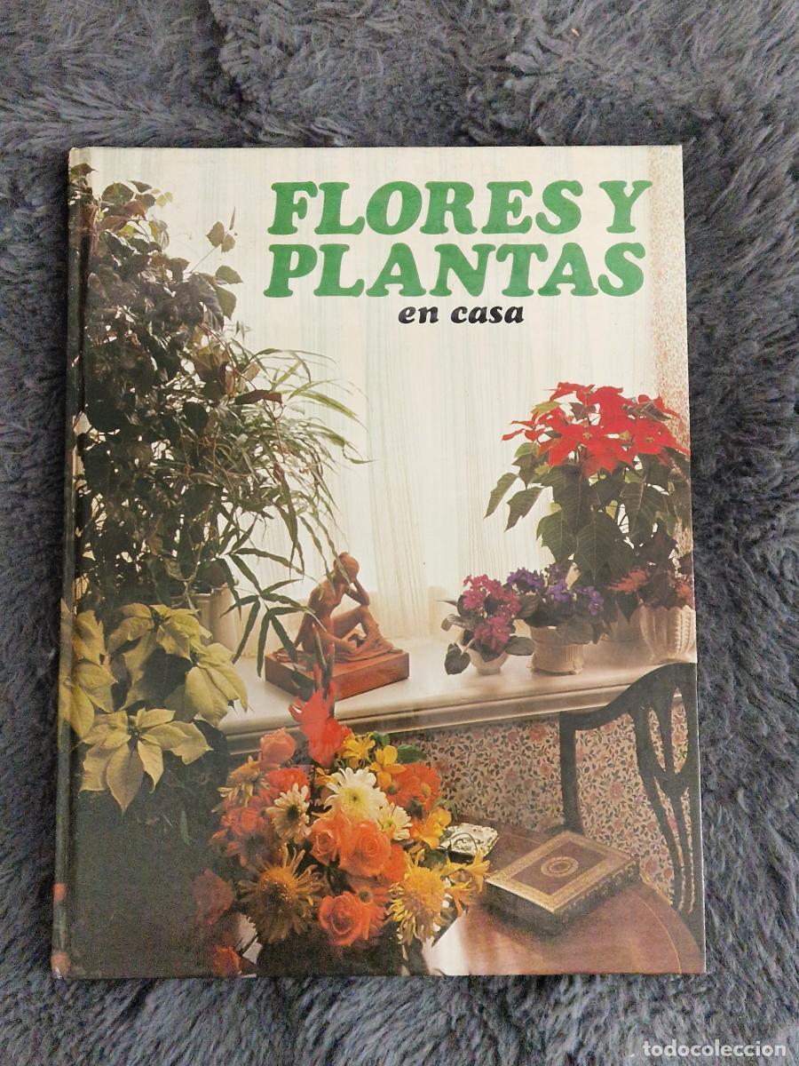 Libros: Flores y plantas en casa - Violet Stevenson - Foto 1