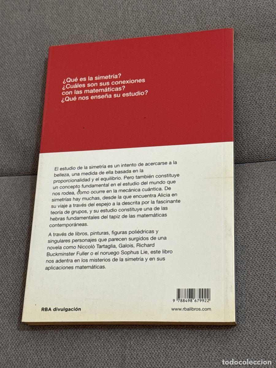 Libros: Al otro lado del espejo - Navarro, Joaqu&iacute;n - Foto 3