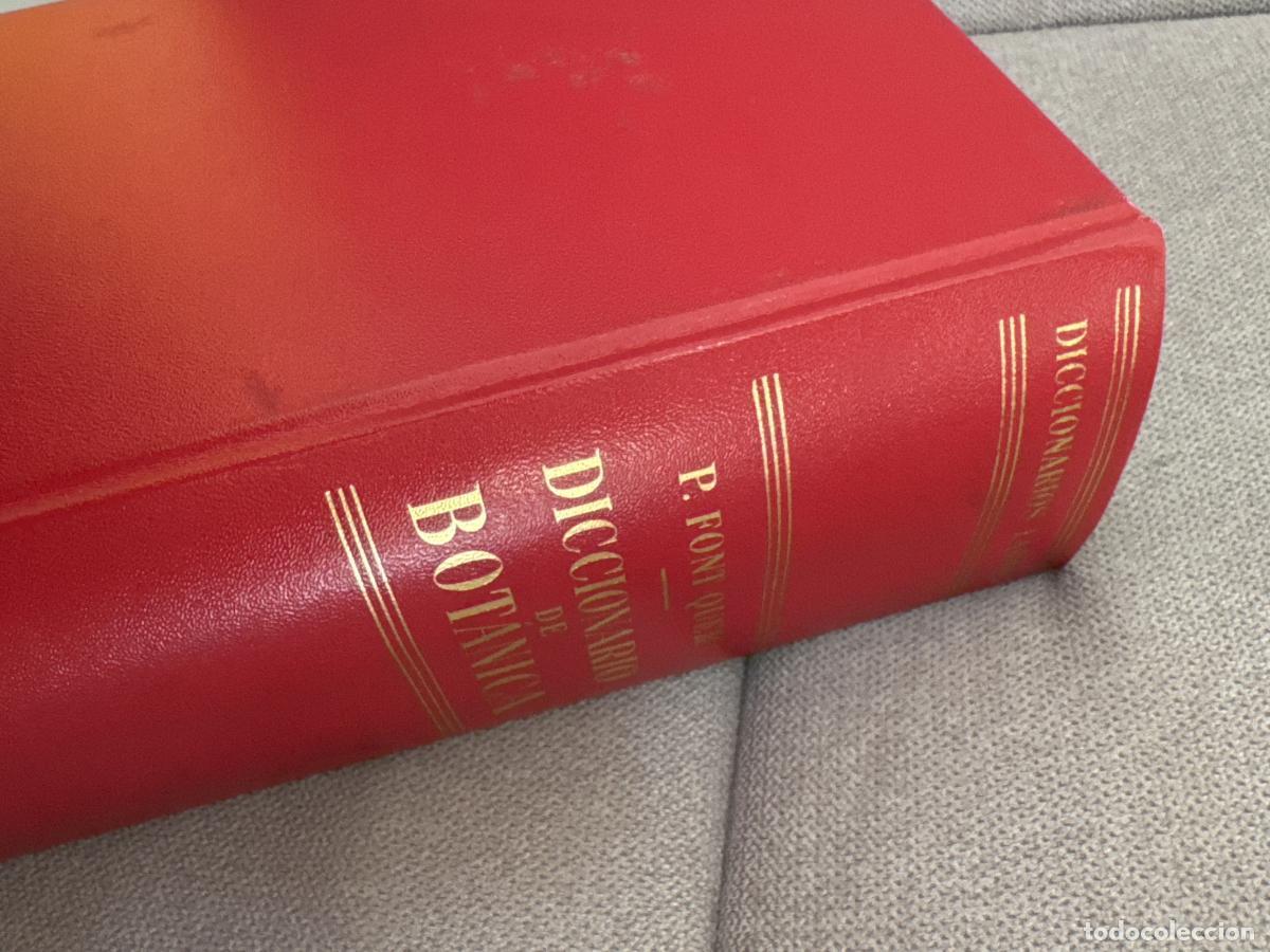 Libros: Diccionario de bot&aacute;nica - Pius Font I Quer - Foto 3