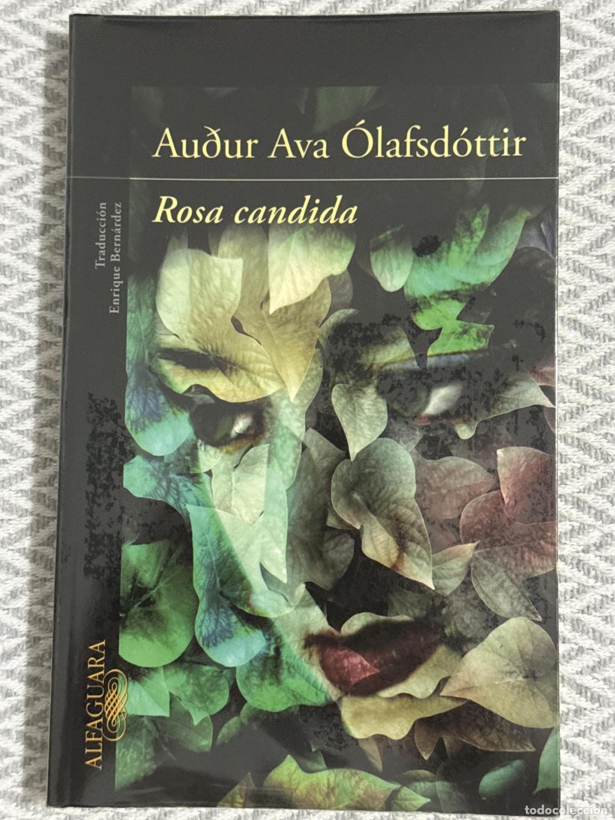 Libros: Rosa candida - &Oacute;lafsd&oacute;ttir, Au&eth;ur Ava - Foto 1