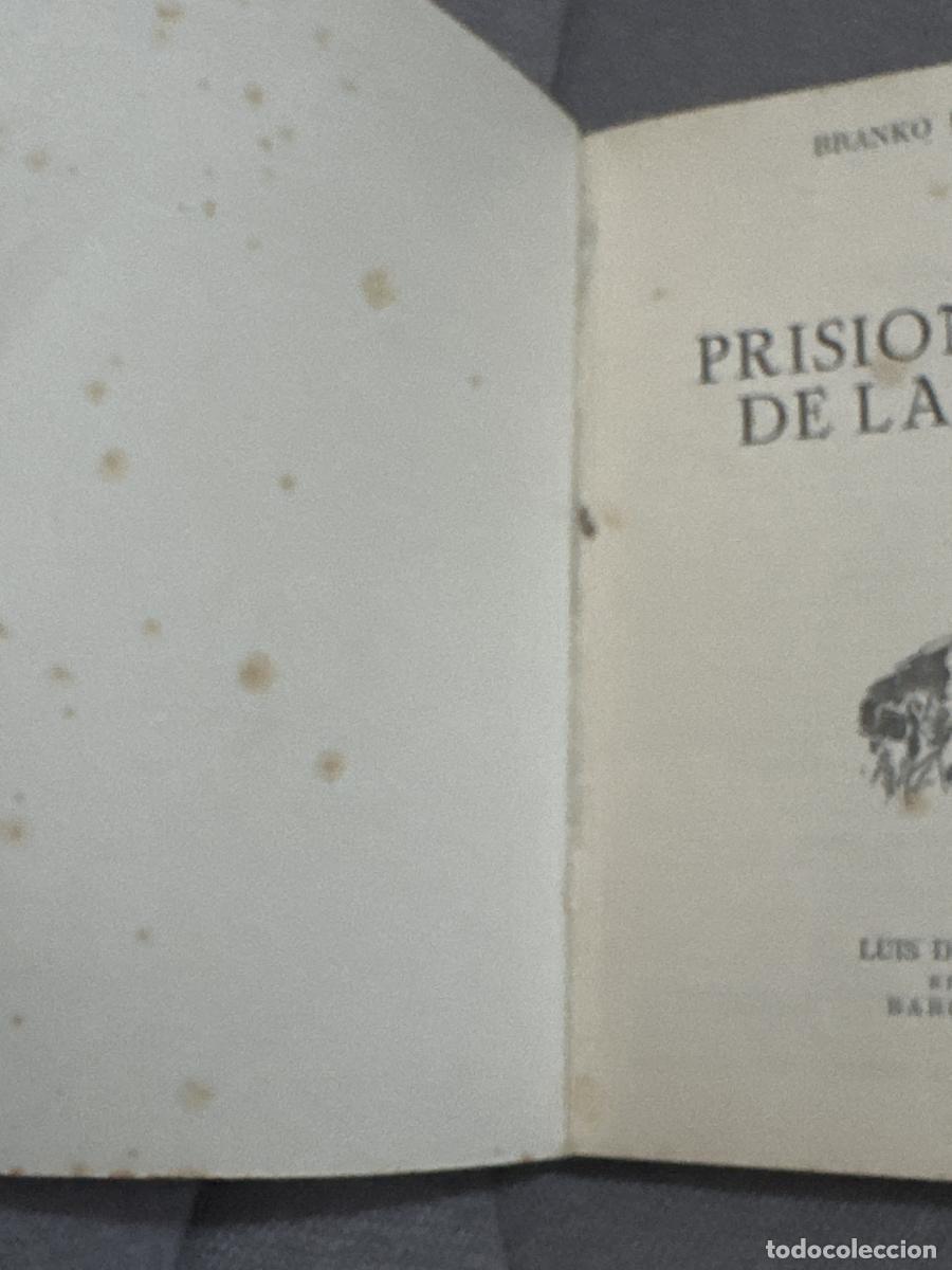 Libros: Prisioneros de la vida - Branko Bokun - Foto 3