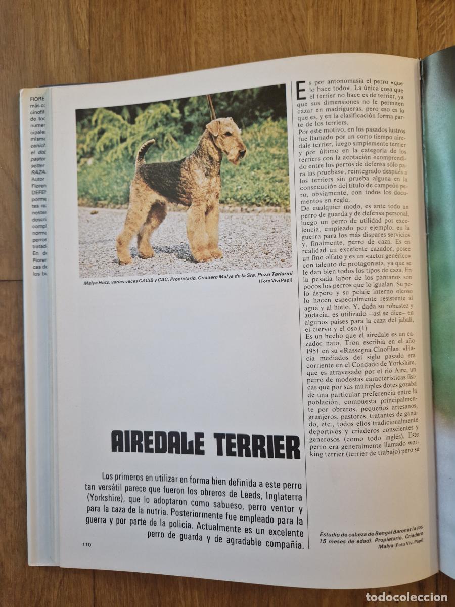 Libros: PERROS de defensa, de guarda y de utilidad. - Fiorenzo Fiorone - Foto 3