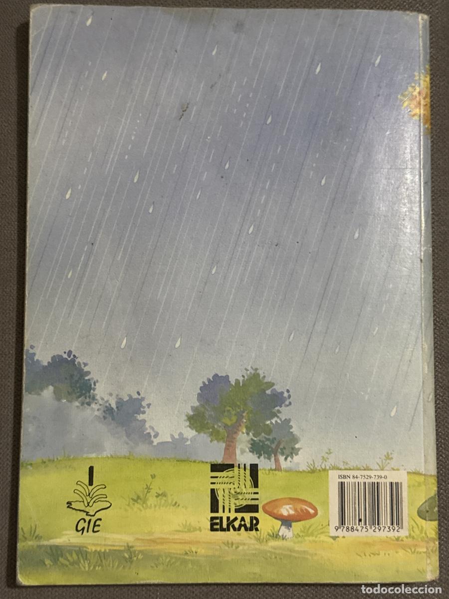 Libros: Sirimiri 4 - I&ntilde;aki Zubeldia - Foto 2