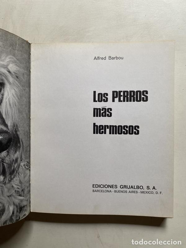 Libros: Los perros mas hermosos - Barbou Alfred - Foto 2