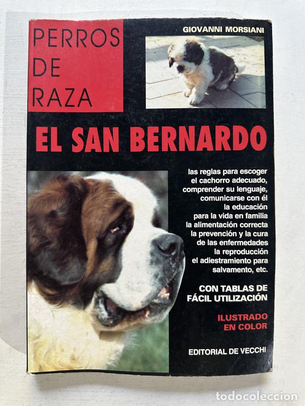 Libros: El San Bernardo - Morsiani Giovanni - Foto 1