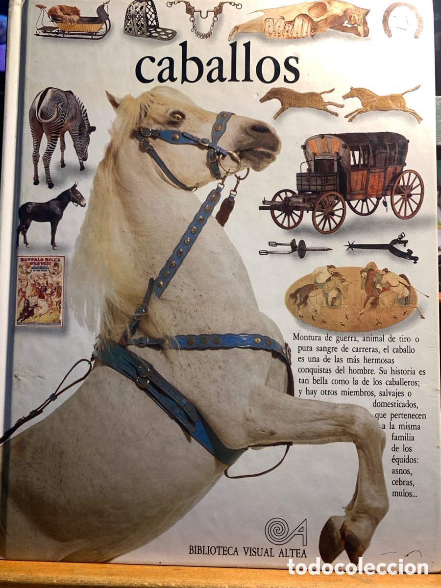Caballos biblioteca visual Altea